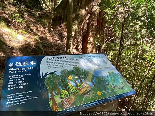 甜蜜CD家到觀霧國家公園(蜜月步道+檜山巨木)遊客中心.山椒魚112 (57).jpg