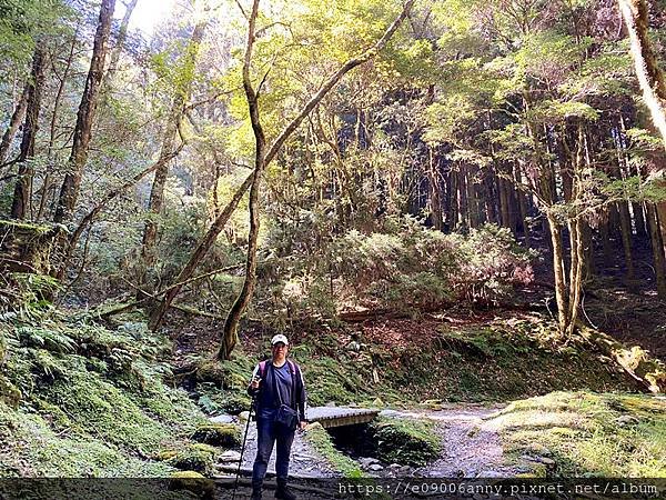 甜蜜CD家到觀霧國家公園(蜜月步道+檜山巨木)遊客中心.山椒魚112 (61).jpg