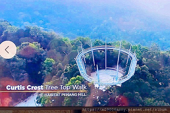 2024香港桂林陽朔馬來西亞檳城12日Day10-4檳城升旗山The Habitat生態公園0709 (4).jpg