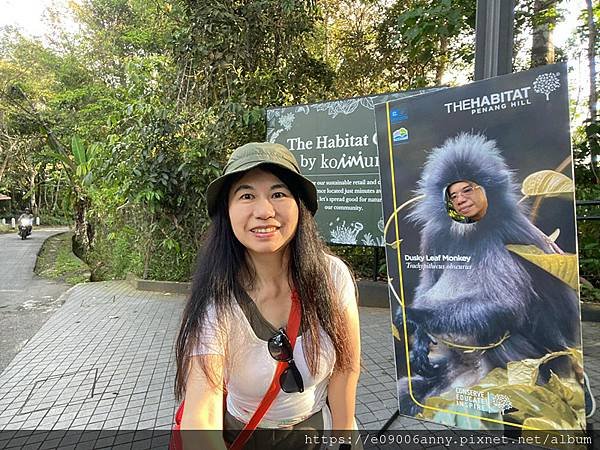 2024香港桂林陽朔馬來西亞檳城12日Day10-4檳城升旗山The Habitat生態公園0709 (18).jpg