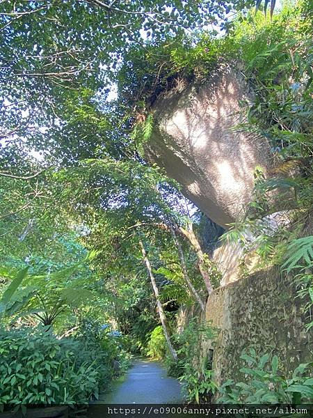 2024香港桂林陽朔馬來西亞檳城12日Day10-4檳城升旗山The Habitat生態公園0709 (41).jpg