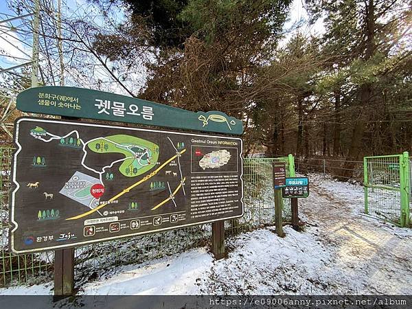 2025甜蜜CD家Day1-4濟州島山上馬群與烏鴉，一大片雪地用雪盆滑雪，超酷 (29).jpg