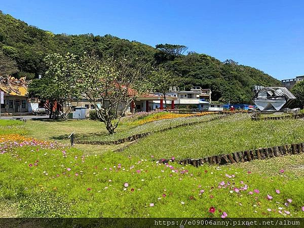 甜蜜CD家在豐漁社區水尾漁港車泊去獅頭山燭台雙嶼神秘海岸 (54).jpg