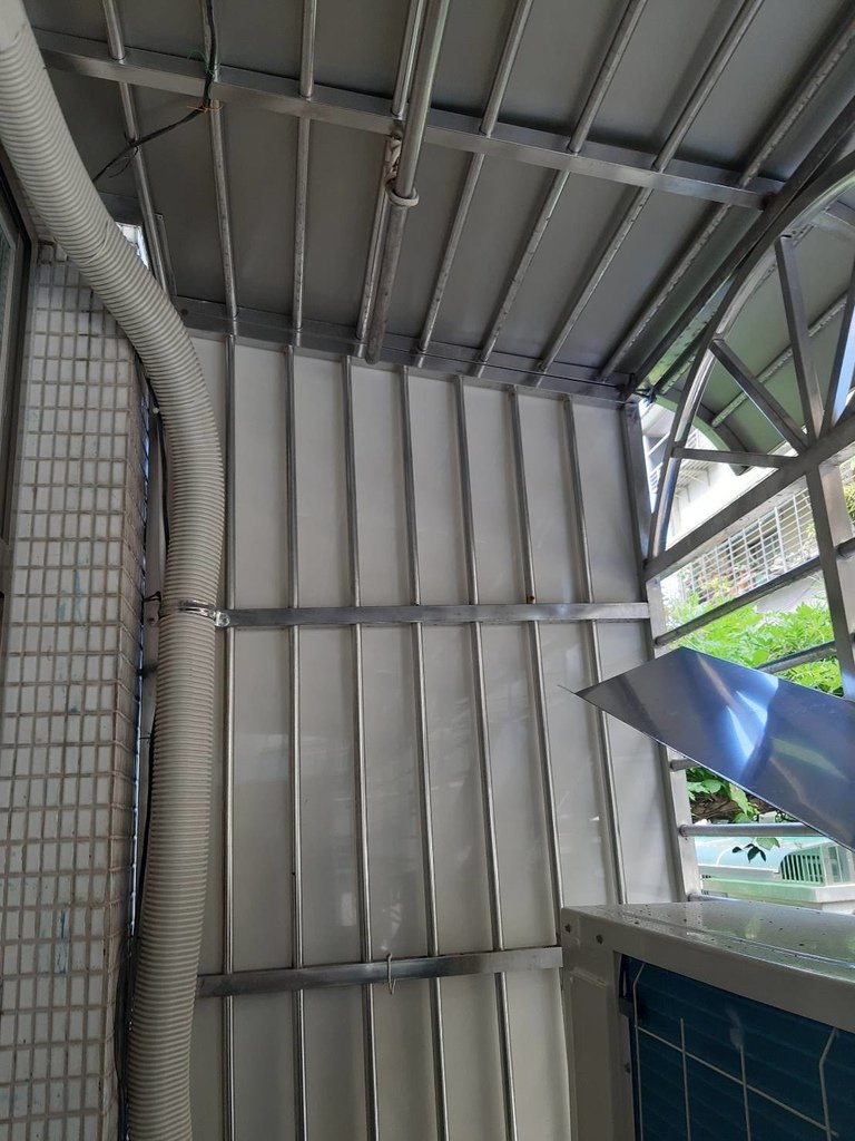 729.jpg