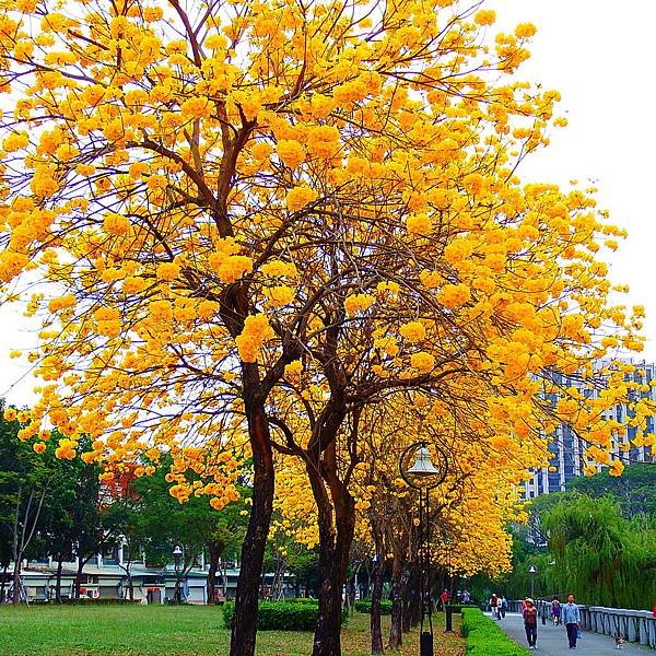 DSCF7376.JPG