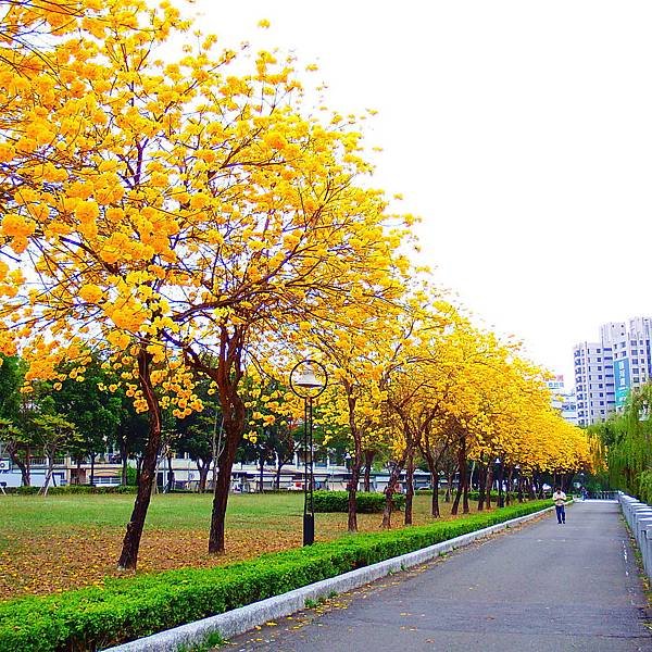 DSCF7379.JPG