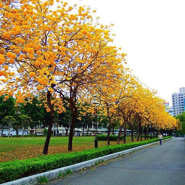 DSCF7380.JPG
