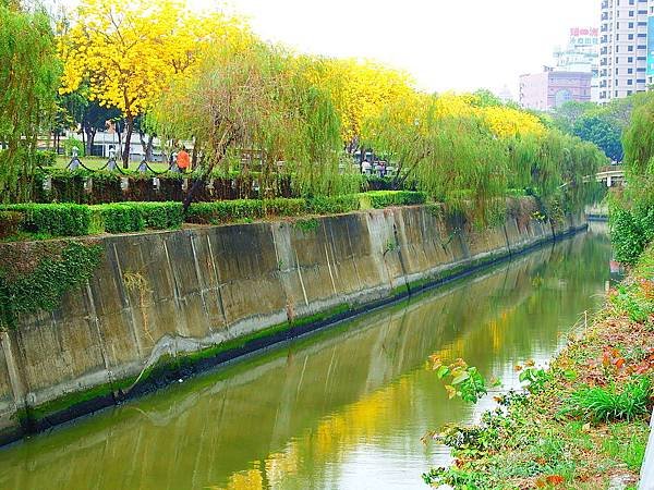 DSCF7428.JPG