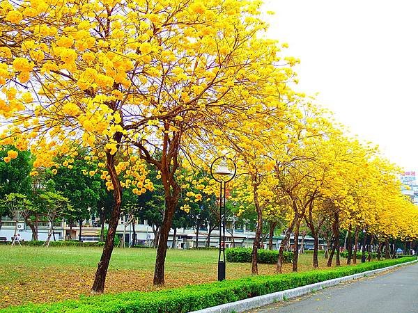 DSCF7551.JPG