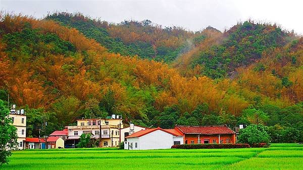 DSCF9863.JPG