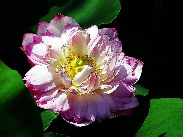 DSCF1312.JPG
