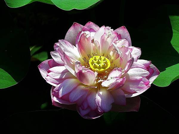 DSCF1315.JPG