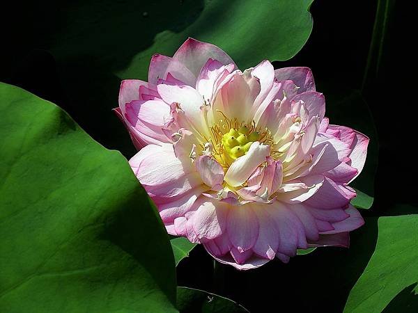 DSCF1316.JPG