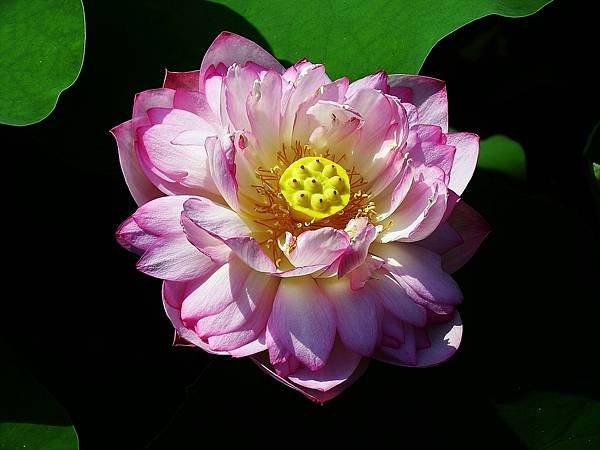 DSCF1317.JPG