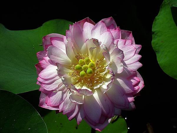 DSCF1322.JPG