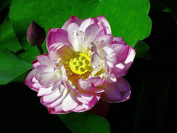 DSCF1346.JPG