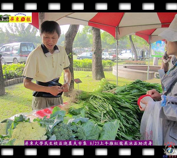 20140822-來逛有機農夫市集-本週六推紅龍果冰品助您消暑01