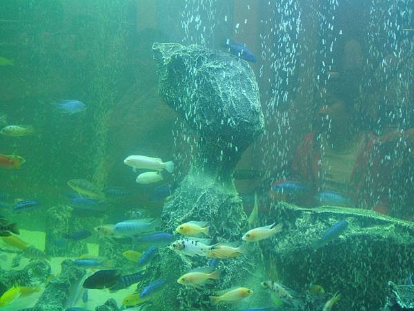 DSC09437.JPG