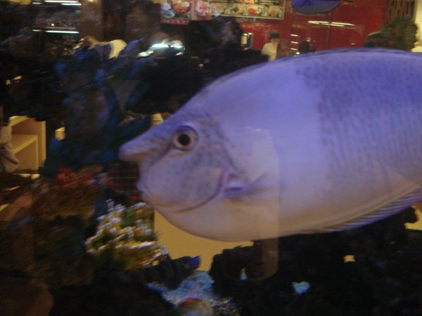 DSC07629.JPG