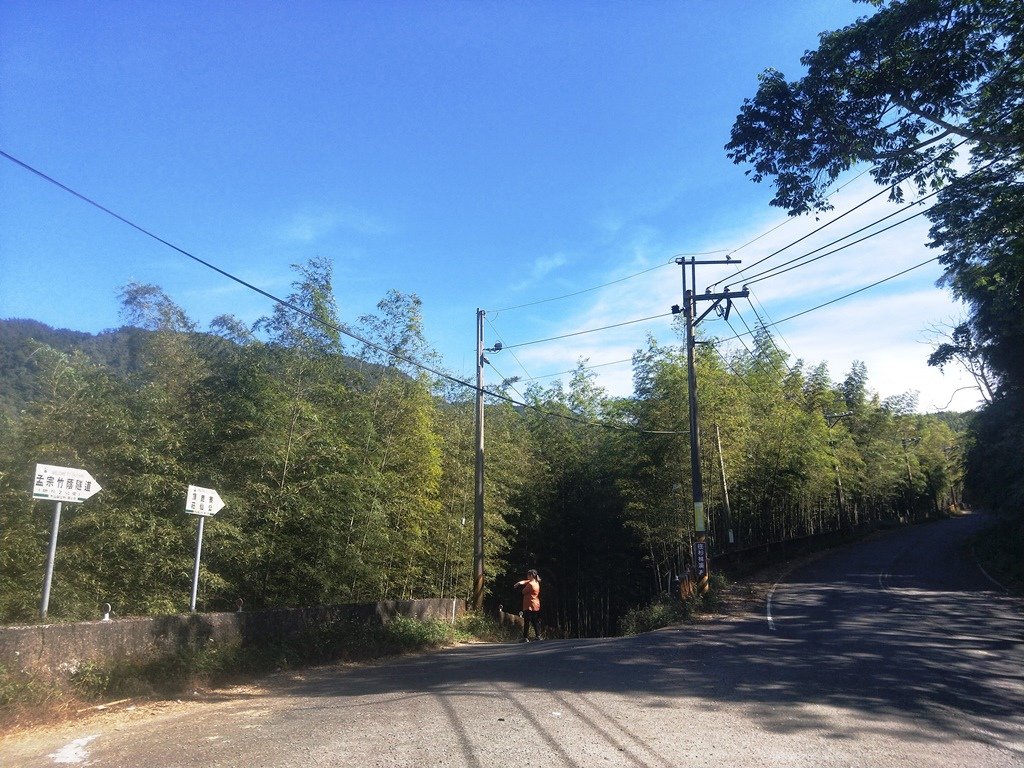 005南投竹山大鞍 孟宗竹蔭隧道.jpg