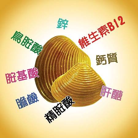 蜆錠成分(1).jpg