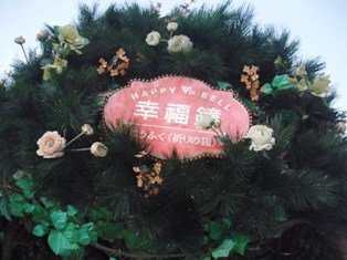 照片 180.jpg