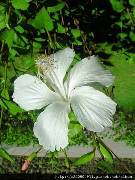 照片 008.jpg