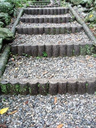 照片 050.jpg