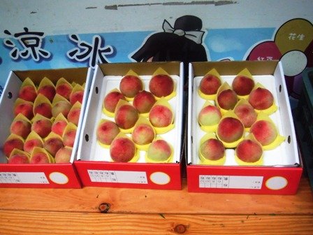 照片 053.jpg