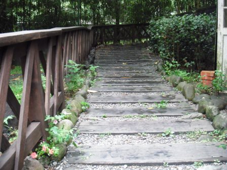 照片 035.jpg