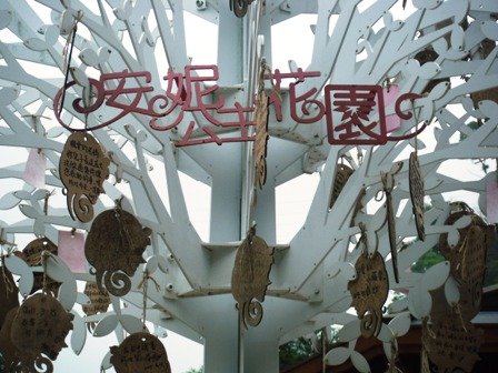 照片 149.jpg