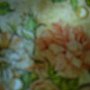 P1010250.JPG