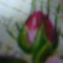 P1010278.JPG