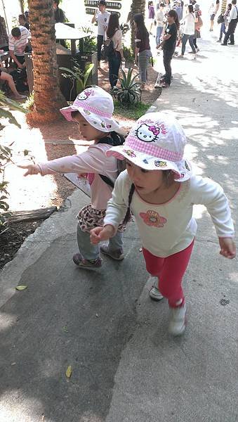 IMAG2084.jpg