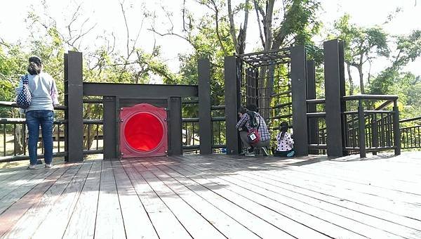 IMAG7798.jpg