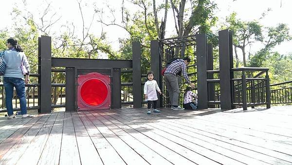 IMAG7799.jpg