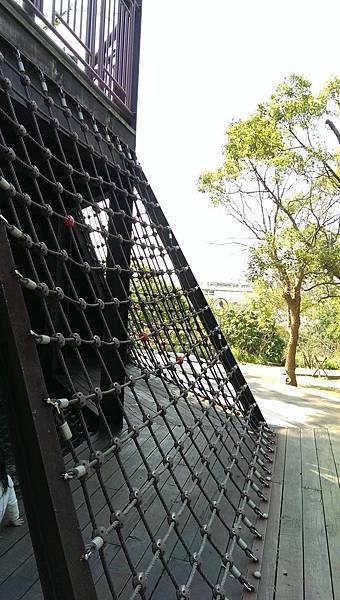 IMAG7801.jpg