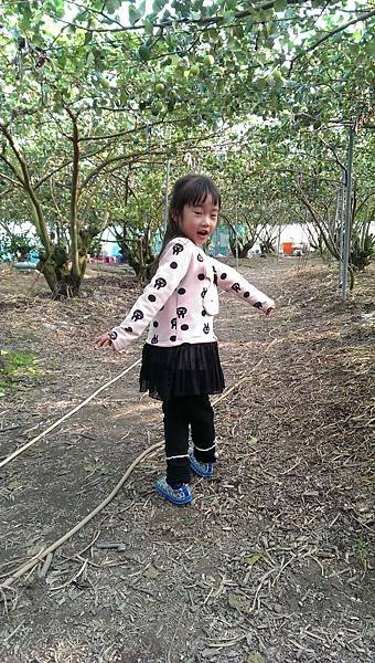 IMAG7938.jpg