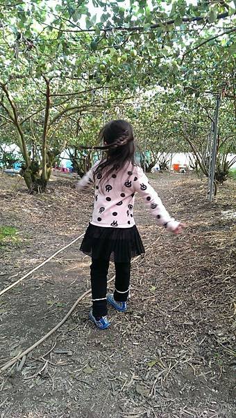 IMAG7939.jpg