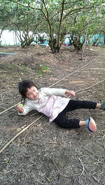 IMAG7943.jpg