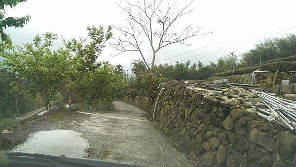 IMAG0625.jpg