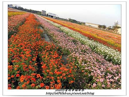 花田喜事13