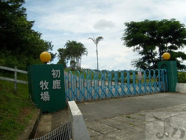 中午往初鹿農場出發 (5).jpg