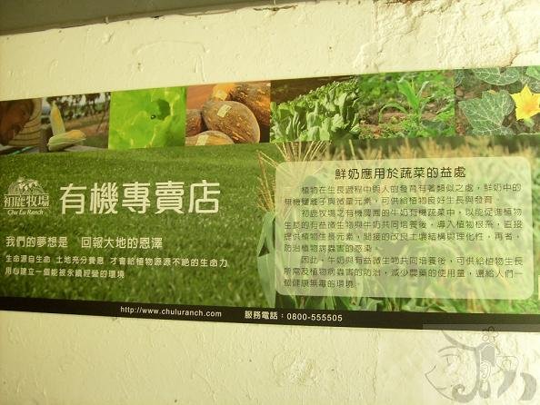 中午往初鹿農場出發 (25).jpg