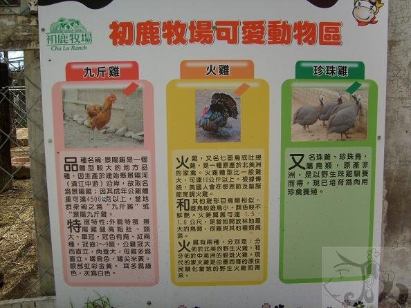 中午往初鹿農場出發 (55).jpg