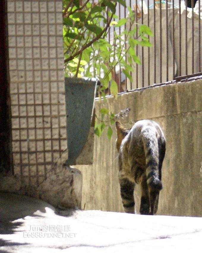 DSC04339.JPG