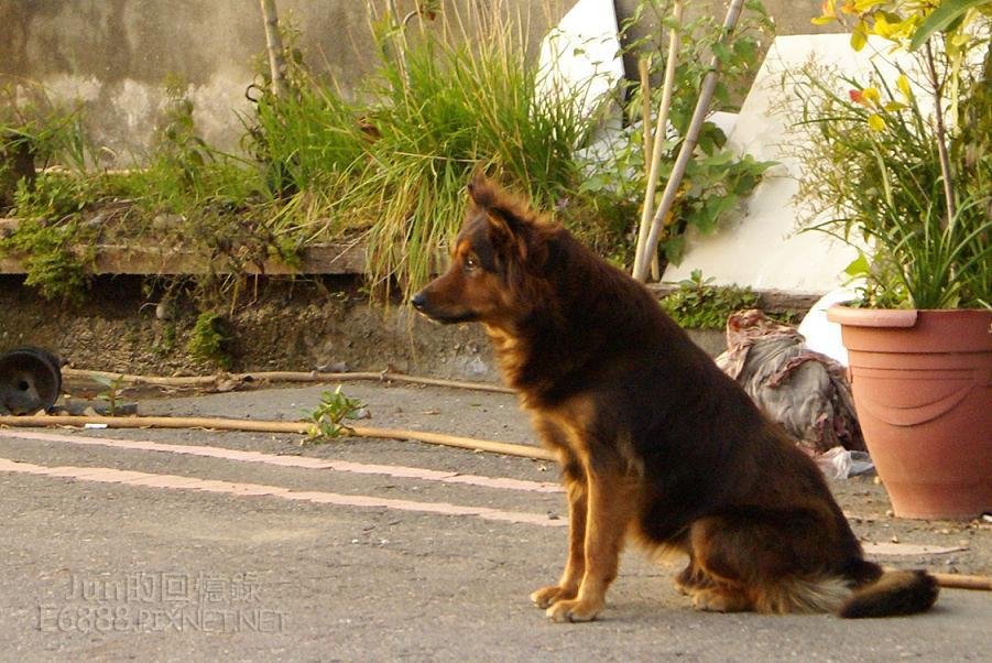 DSC05304.JPG