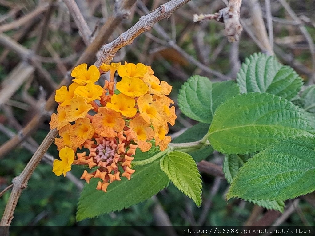 紅球慢閃～河樂廣場