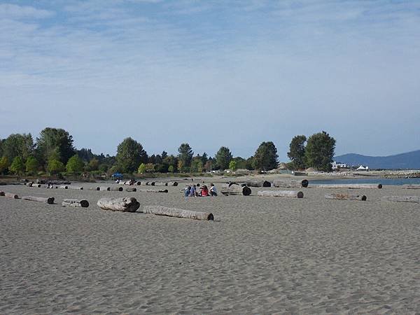 SDC12780.jpg