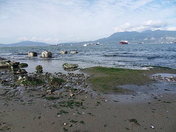 SDC12810.jpg